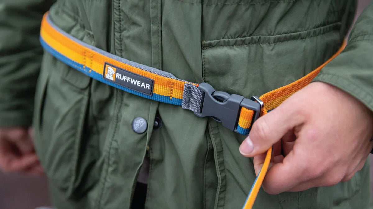 Ruffwear Roamer Bungee Line - Orion Blue