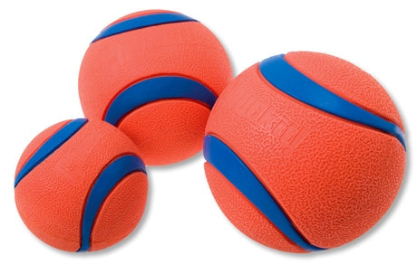 Ultra Ball - MED snor Chuck It! Large