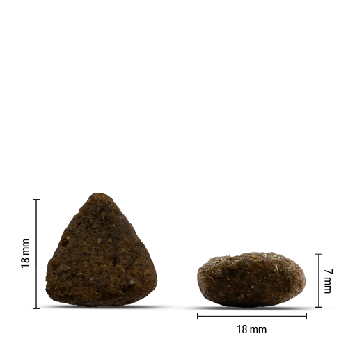 Chicopee Holistic Nature Line - Active, Salmon & Potato 2 kg