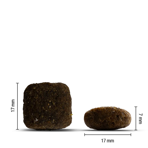 Chicopee Holistic Nature Line - Adult, Goat & Potato (semisoft) 2 kg