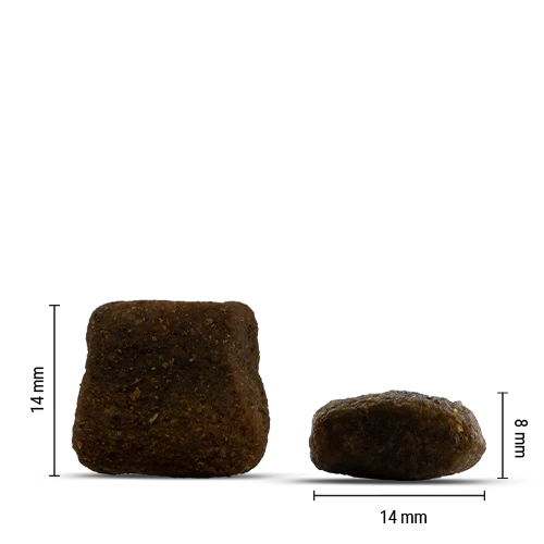 Chicopee Holistic Nature Line - Adult, Trout & Potato 2 kg