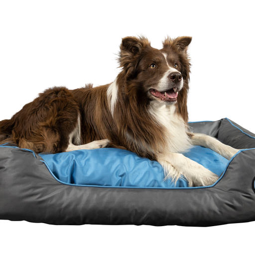 Kiwi Walker Sofa hundeseng - ORANGE