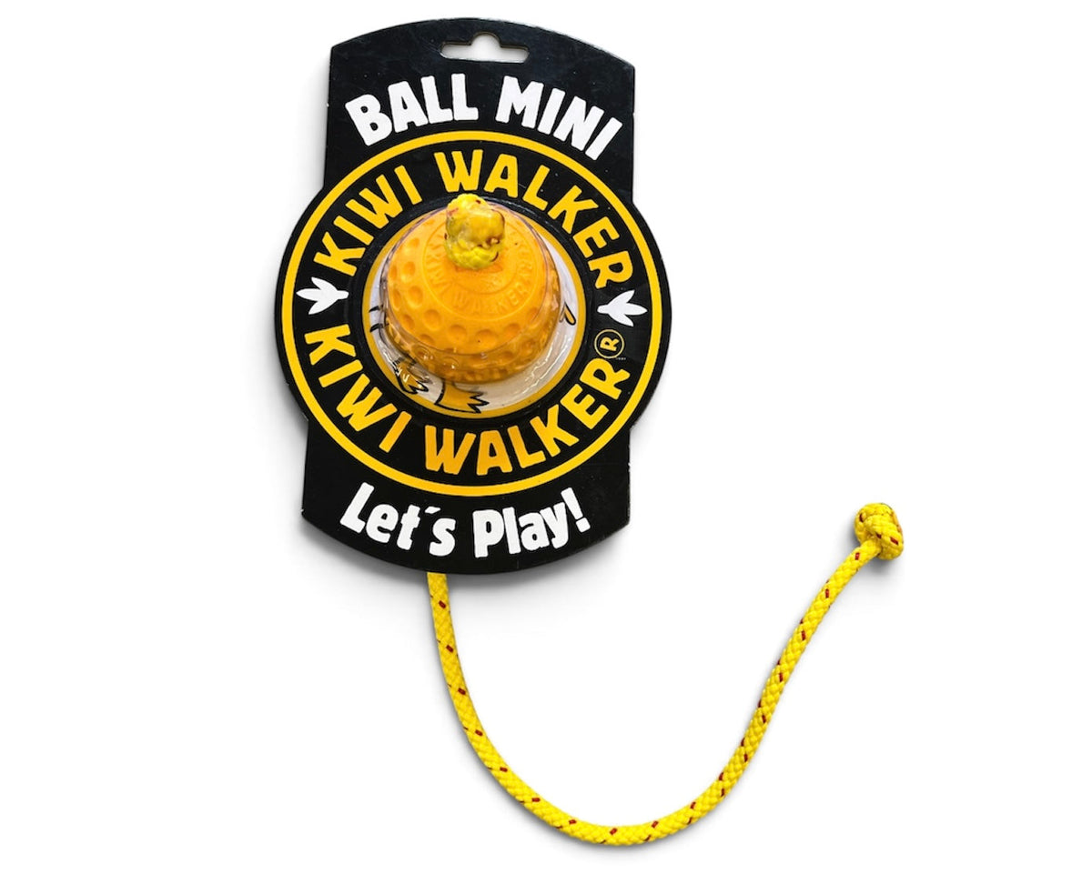 Let's play BALL m/snor - MINI