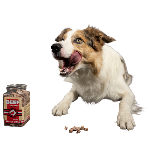 Snack Apple - 35g