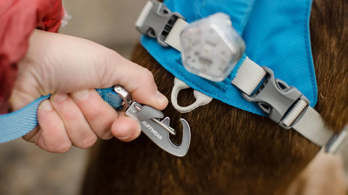 Flagline hundeline - Ruffwear Basalt Gray