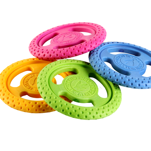 Let's play FRISBEE - MAXI