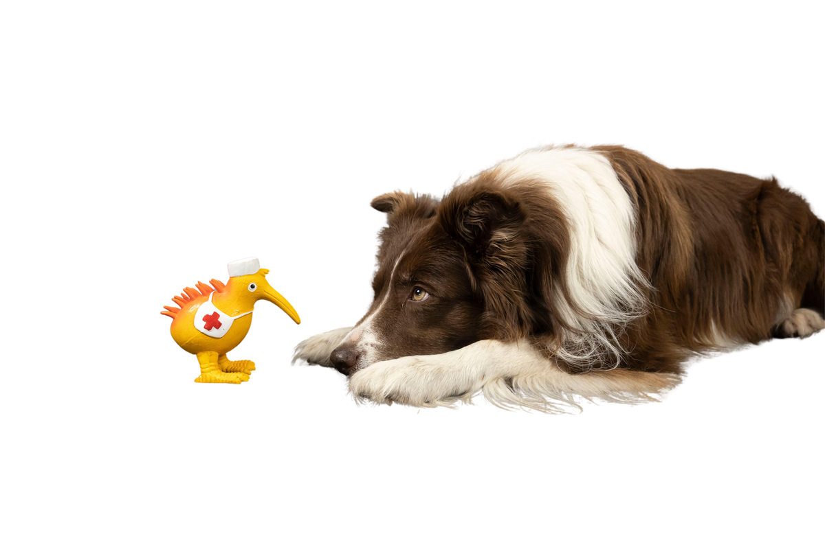 CARACTER Whistle Kiwi Nurse - Orange