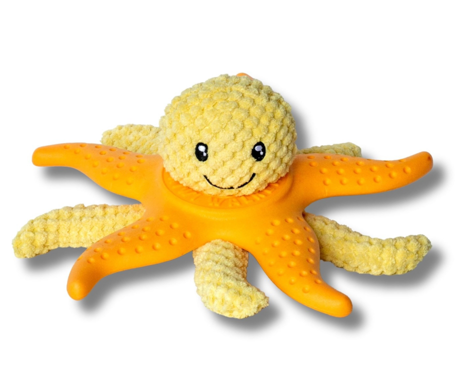 Octopus & Starfish Orange