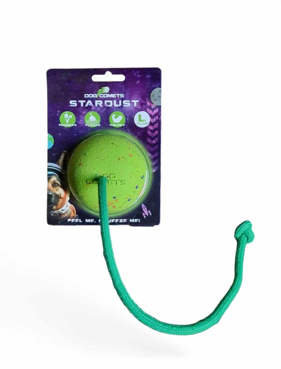 Dog Comet Stardust bold Large m/snor