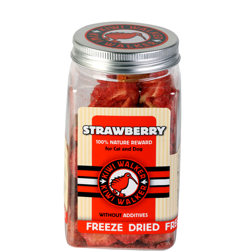 Snack Strawberry - 25g