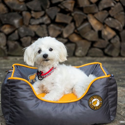 Kiwi Walker Sofa hundeseng - ORANGE