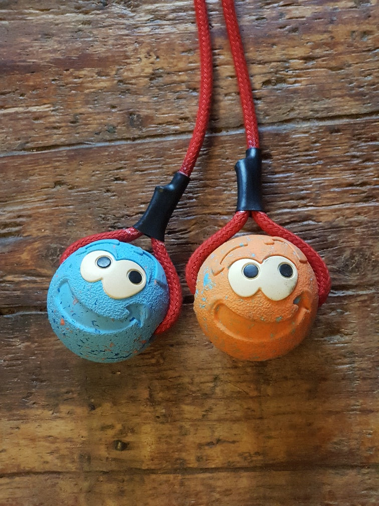 Recycled Remmy med snor