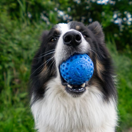 Let's play BALL  - MAXI