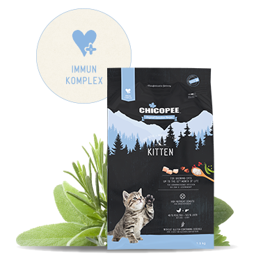Kitten - Chicopee Holistisk tørkost