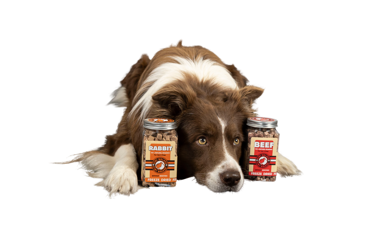 Snack Beef - 40g