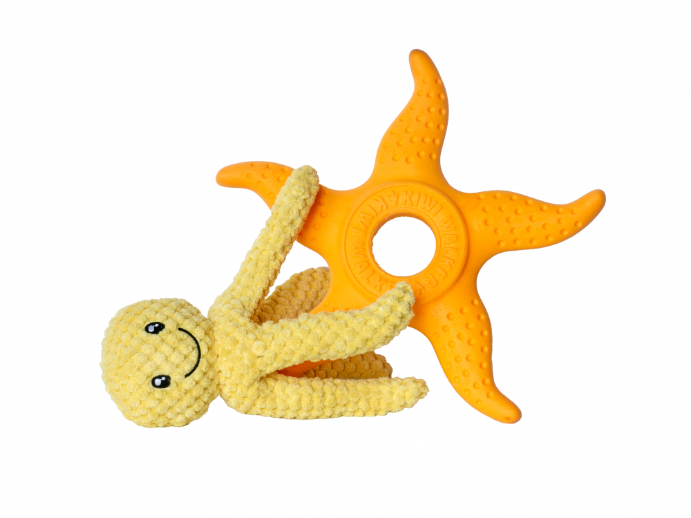Octopus & Starfish Orange