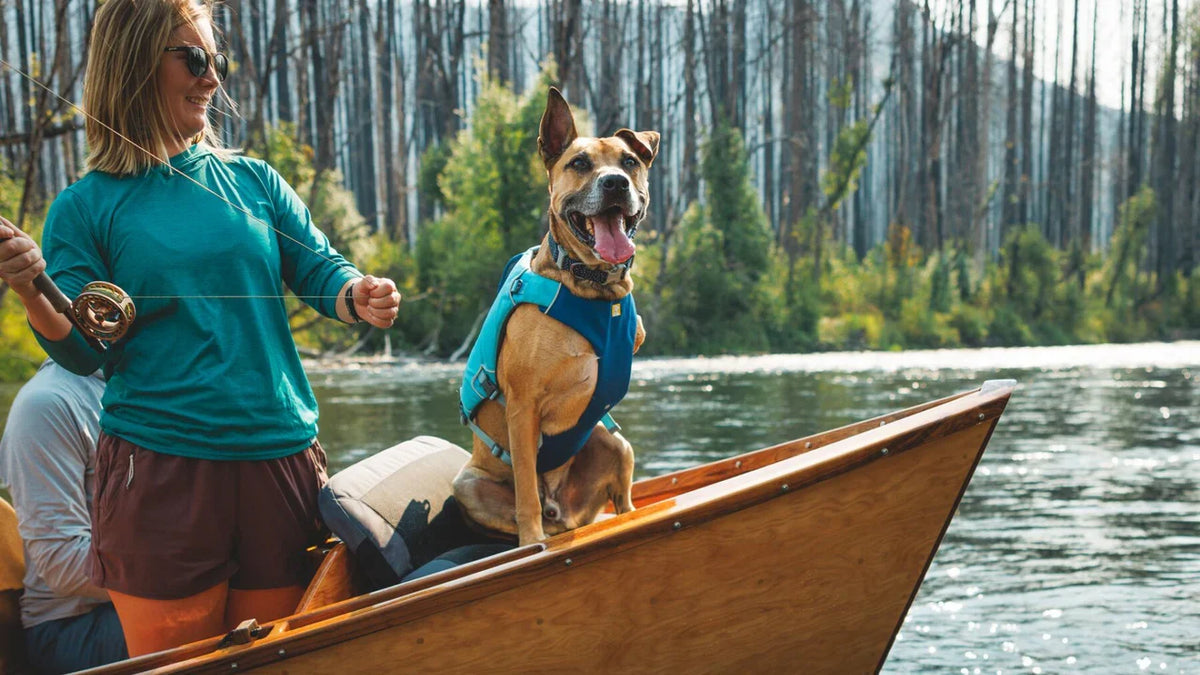 Blå Confluence™ Redningsvest til Hund | Ruffwear