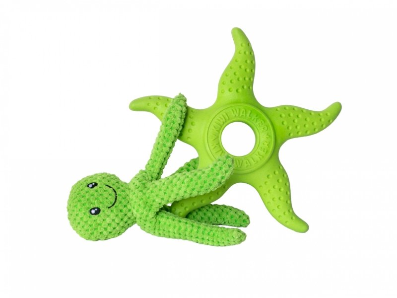 Octopus & Starfish grøn