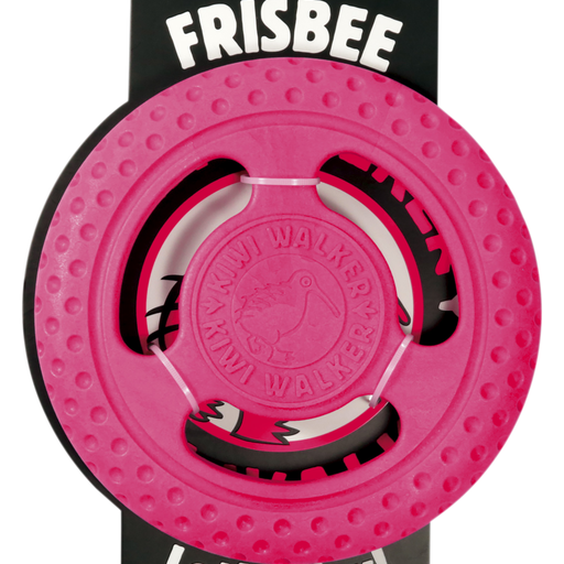 Let's play FRISBEE - MINI