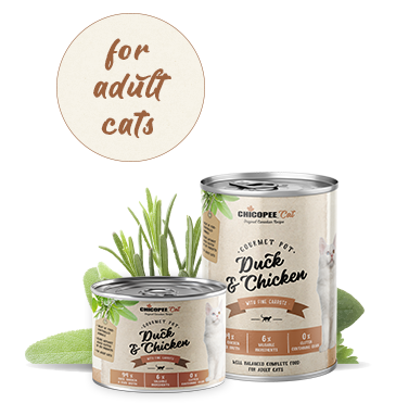 And & Kylling m/fine gulerødder 12 x 195 gram